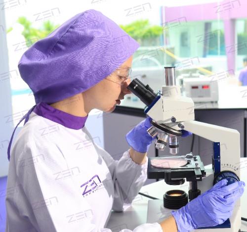 ZEN LAB-008